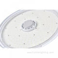 LED Food Grade Lighting 100W-200W with Bluetooth APP dimming